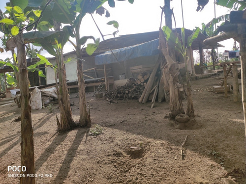 Imagen 6 de 7 de Vendo Finca De 2 Hectáreas