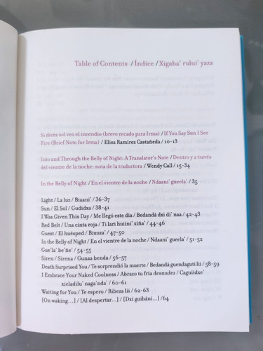 En El Vientre De La Noche Y Otros Poemas - Irma Pineda