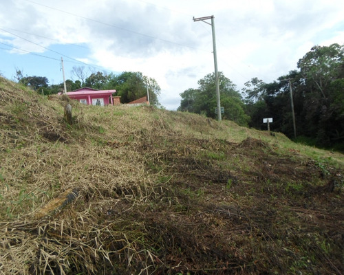 Imagem 4 de 7 de Terreno - 03710 - 33228906