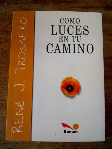 Libro Como Luces En Tu Camino De Rene Trossero (17)