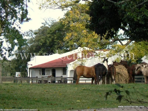 Estancia Benquerencia - Chacra 270 San Miguel Del Monte