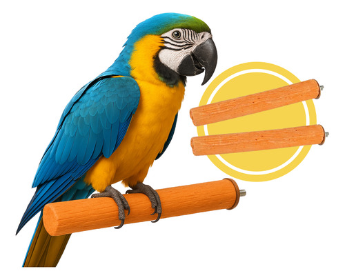 Percha Colgante Aves Calcio Jaula Loro Pico Large Grande