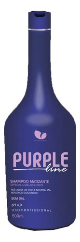 Tratamento Hidratação Capilar Loiras Shampoo 500 Ml Violeta
