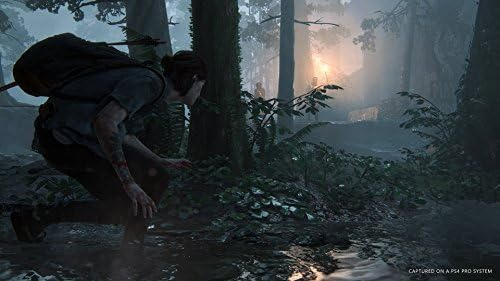 The Last Of Us Parte Ii - Playstation 4