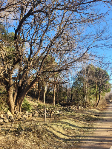 Terreno En Venta En Nono