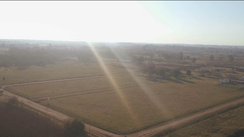 Se Vende 3 Lotes De 2.137 C/u (47.50 X 45 Mts ) Carmen De Areco A 500 Mts De La Autopista Y En Breve Va Ser La Segunda Entrada A La Ciudad.