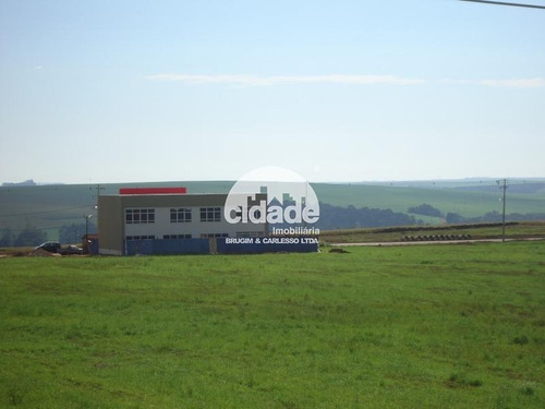 Imagem 12 de 14 de Terreno À Venda, Morumbi - Cascavel/pr - 11534