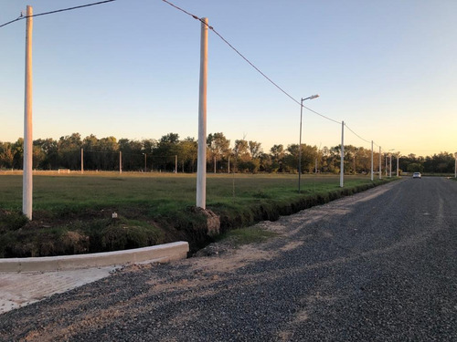 Imagen 8 de 21 de Terreno En Venta En J.gorina | 510y167 | Don Basilio (mza.d-l.12)