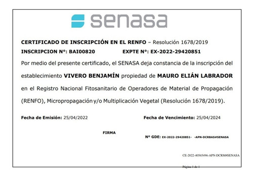 Asclepia Curassavica 3lts