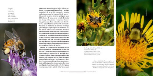 Invencion Del Sexo Y La Evolucion De La Vida, De Volkmann Luis Rafael., Vol. Unico. Editorial Ecoval, Tapa Blanda, Edición Primera En Español, 2023