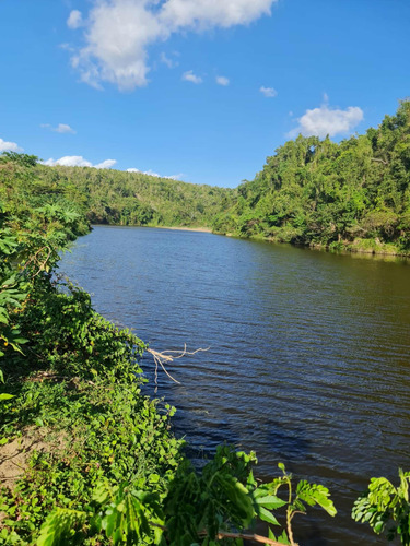 Vendo Esta Finca De 4 Mil 200 Tareas Dividida En 3 Porciones