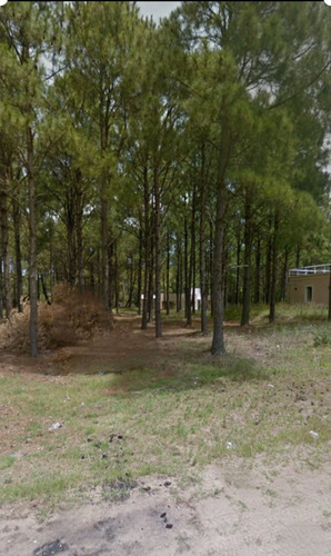 Lote Pinamar Norte A Media Cuadra Del Mar