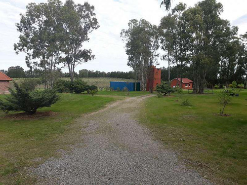 Venta Chacra Permuta Colonia Montevideo Punta Del Este Buenos Aires
