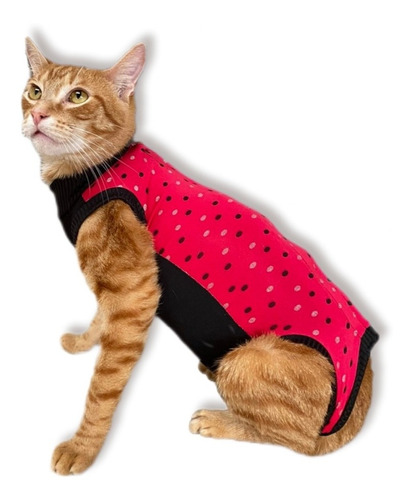 Vestido Postquirurgico Para Gato - Unidad a $33999