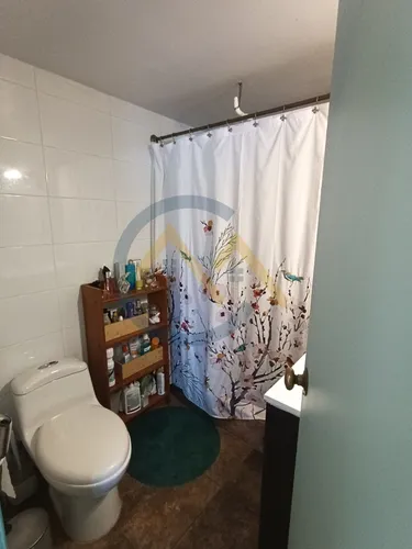 Venta Acogedor Departamento Centro De Viña Calle Arlegui