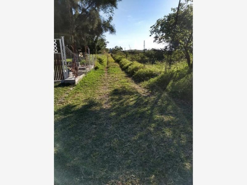 Imagen 6 de 7 de Terreno En Venta Mexquemeca