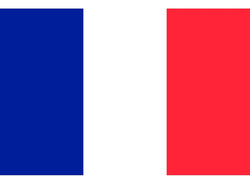 Bandera Francia Oficial 90 X 150