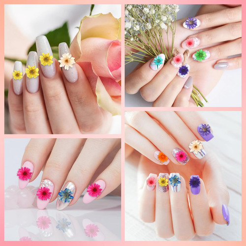 Flores Secas Pequeñas 420 Piezas Para Manualidades Y Uñas