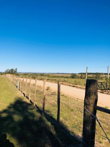 Chacra - José Ignacio