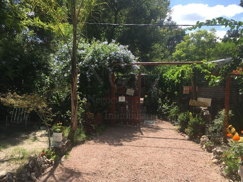 Imagen 2 de 30 de Casa + Vivero En Balneario Argentino