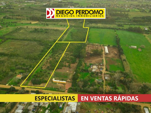 Predio De 38.506 M², En Venta, Montevideo