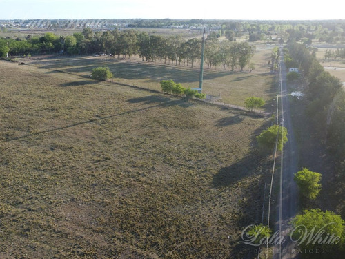 Imagen 4 de 10 de Venta - 7 Hectáreas En Canning