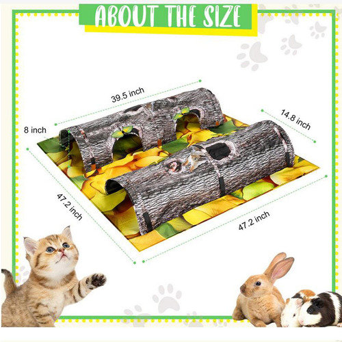 Laberinto Divertido Para Gatos, Centro De Entretenimiento
