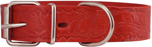 Genuine Amoldadas Piel Perro Cuello Patron Floral Rojo 3 t