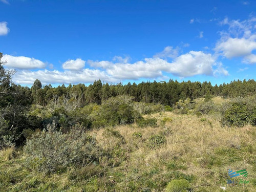 Imagen 13 de 24 de Lindo Campo Para Fraccionar, Sobre Ruta Y A Poco Mas De 1 Hora De Punta