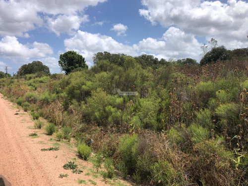 Venta Terreno Melilla Camino Fauquet Y Ruta 5 Prox. Uam Salida A 2 Calles (91730m )