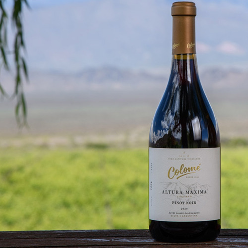 Imagen 3 de 10 de Vino Colome Altura Maxima Pinot Noir Caja X 6 X 750ml.