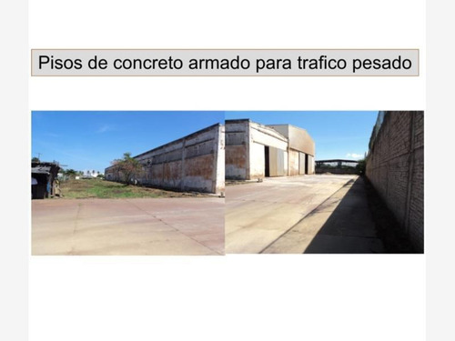 Bodega Industrial En Venta Bruno Pagliai