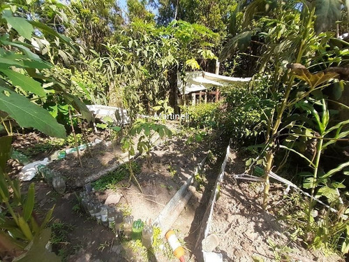 Imagem 3 de 29 de Chacara - Ch00002 - 70633314
