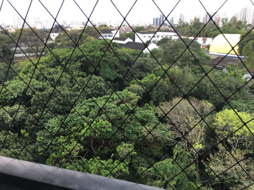 Apartamento Loft No Garibaldi Prime - Ap00245 - 69318587
