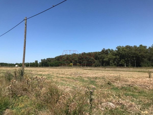 Imagen 10 de 12 de Venta, Lote En Complejo Las Banderitas, City Bell