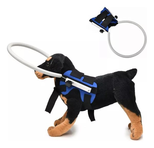 X Círculo De Proteção Contra Colisão De Cães Cegos
