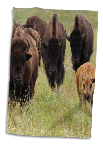 Toalla De Mano 3d Rose Bison Herd With Becerro, 15 X 22, Mul