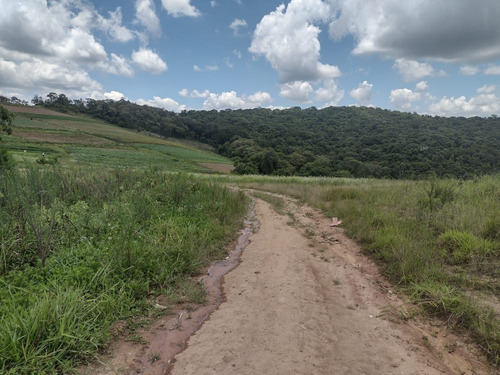 Imagem 15 de 19 de Lotes E Terrenos Localizados Na Região De Cotia