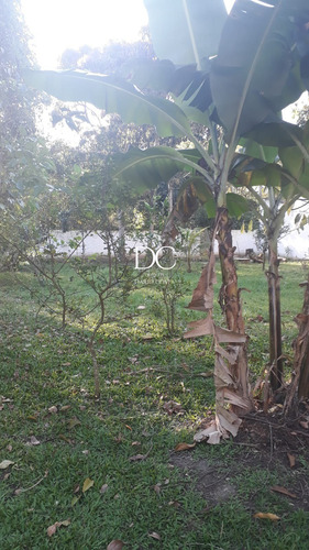 Imagem 12 de 24 de Sitio - St00017 - 70179267