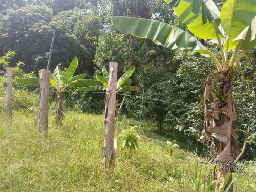 Imagem 12 de 20 de Terrenos A Venda No Barro Barro Branco A Partir De 55 Mil-negociáveis - Te0120