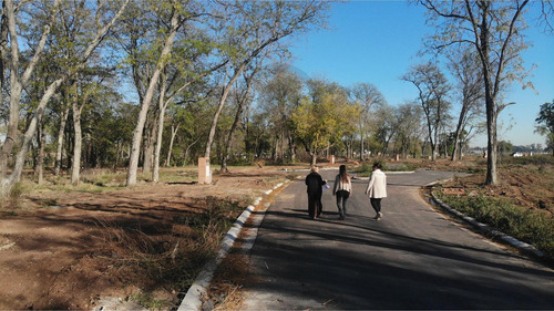 Lote En Venta Village Joven, Pueblo Vista, Bella Vista