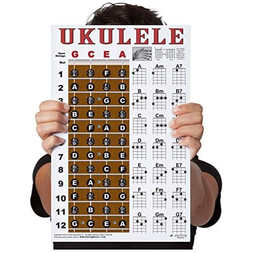 Tablero Laminado De Notas De Diapasón De Ukelele Y Dia...