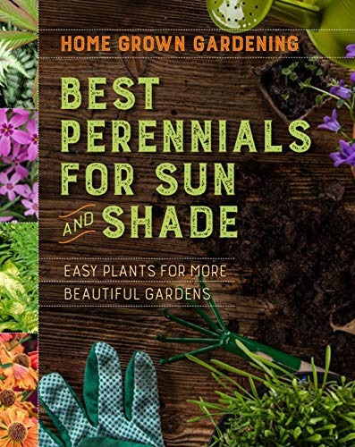 Home Grown Gardening Guide To Best Perennials For Sun And Sh