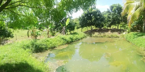Finca Ganadera Con Nacimiento De Agua Propio