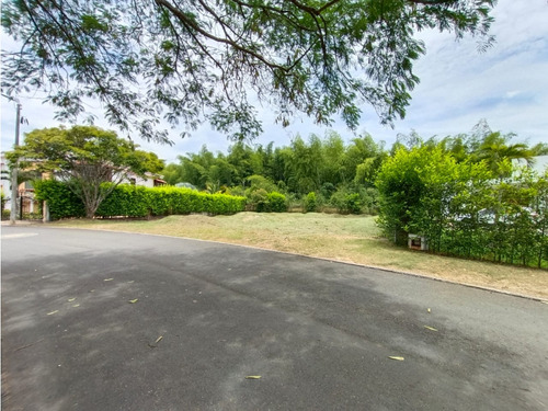 Venta Lote Condominio Verde Horizonte Jamundi Valle Del Cauca