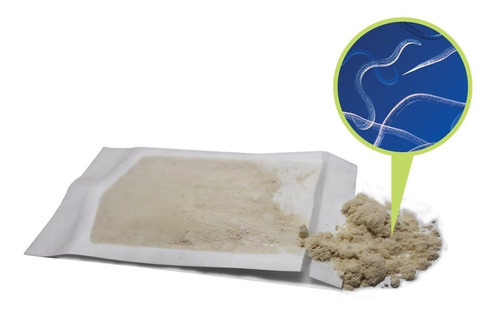 Naturesgoodguys Beneficiosos Nematodos Sf Steinernema Feltia