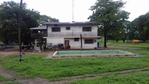 Imagen 1 de 14 de Grandiosa Finca En Via Al Baul 1200 Hectareas
