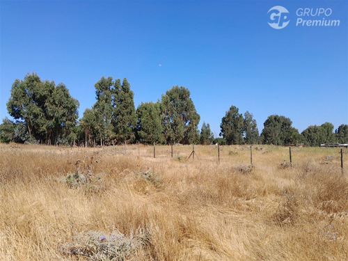Agrícola En Venta En Quintero