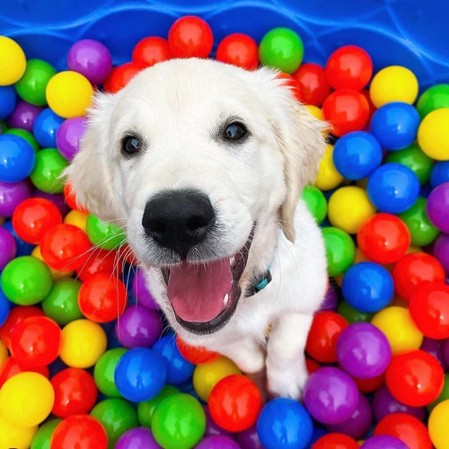 ~? Soft Ball Pit Balls 150 Pack Plastic Play Balls For Pet D