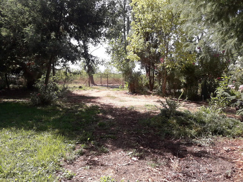 Hermosa Parcela, Buen Terreno Con Agua